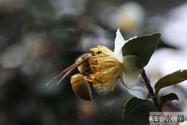 女人爱不爱你，根本不用试探！看这2点，准确率99%