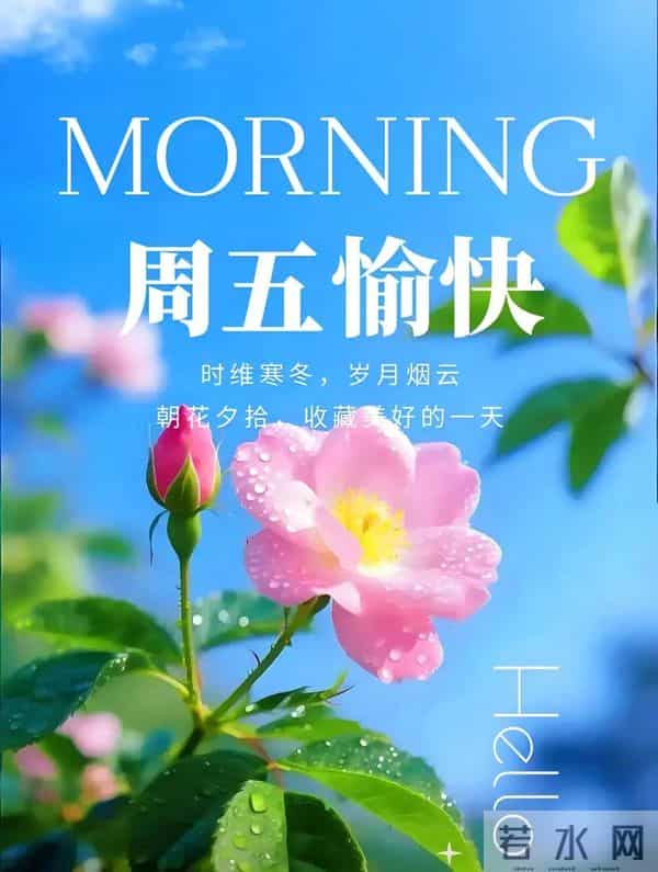 「2025.12.05」今日唯美早安祝福图片问候，温馨早上好祝福语