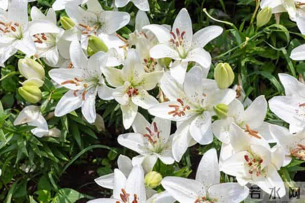 人生下半场，拼的不是财富，而是“1”和“0”