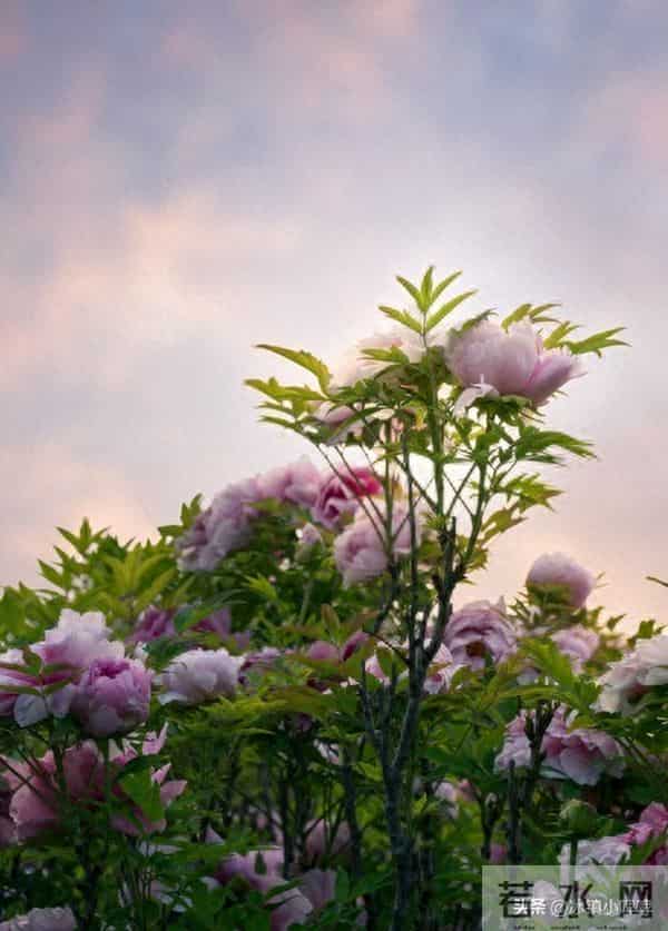 两性关系:所有女人请记住,选男人就一条,就选疼你的,别再犹豫