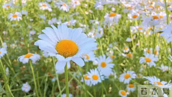 这周后惊喜不断的3大星座，存款暴涨，爱情关满，身体往往就5点！