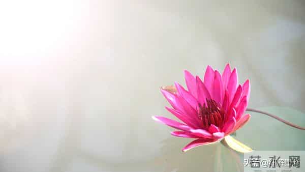 第三名：天蝎座，12月5号，接下来4天，得跟你说个实在话，交个底