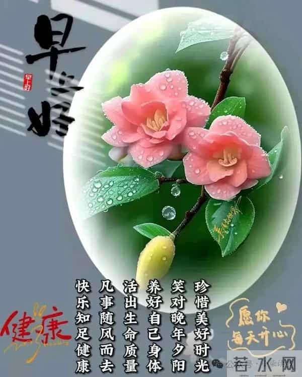 早上好问候祝福图片分享｜阳光暖暖，祝福甜甜！早安快乐！