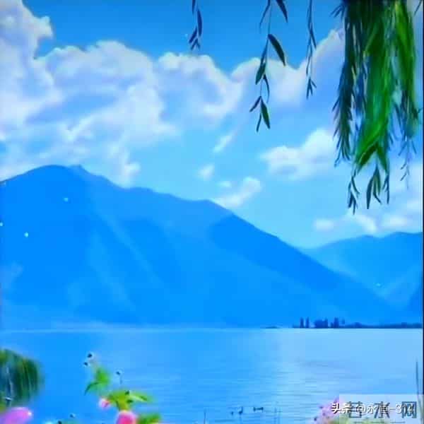 情感爆文:被欲望裹挟时,记得停下来,等一等灵魂的脚步