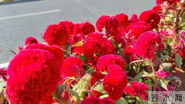 母亲一句话点醒我：女人最硬的底牌，不是漂亮有钱，而是这3样