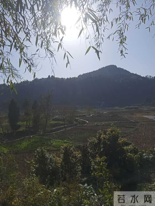 一个人的独居生活，想脱离世俗，却摆脱不了世俗的偏见