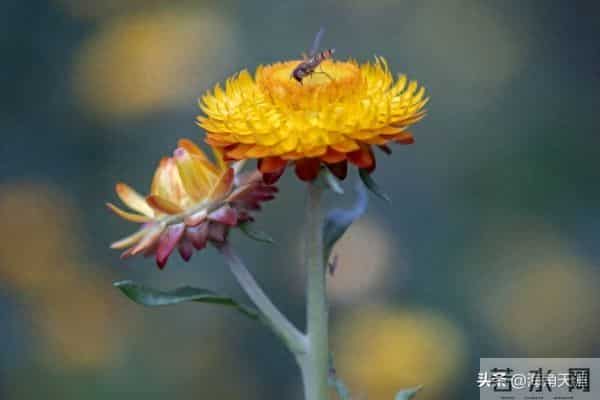 中年人最高级的成熟,不是息事宁人,不是强颜欢笑,而是是……