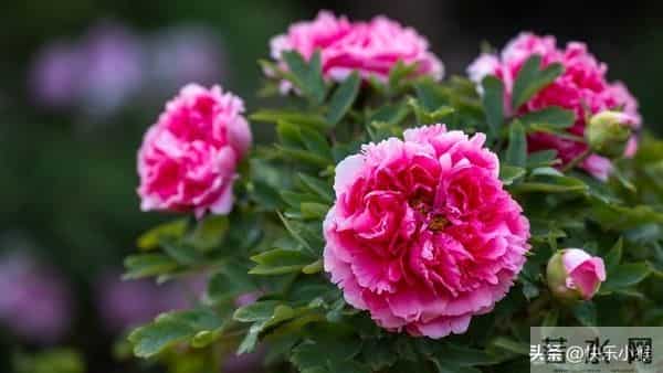 没人告诉你，男人是不会爱的，确切说，是不会像女人需要的那样爱