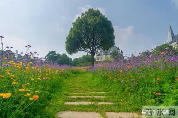 别傻傻只看身体接触,女人一旦在这些地方为你破戒,就是爱惨你了