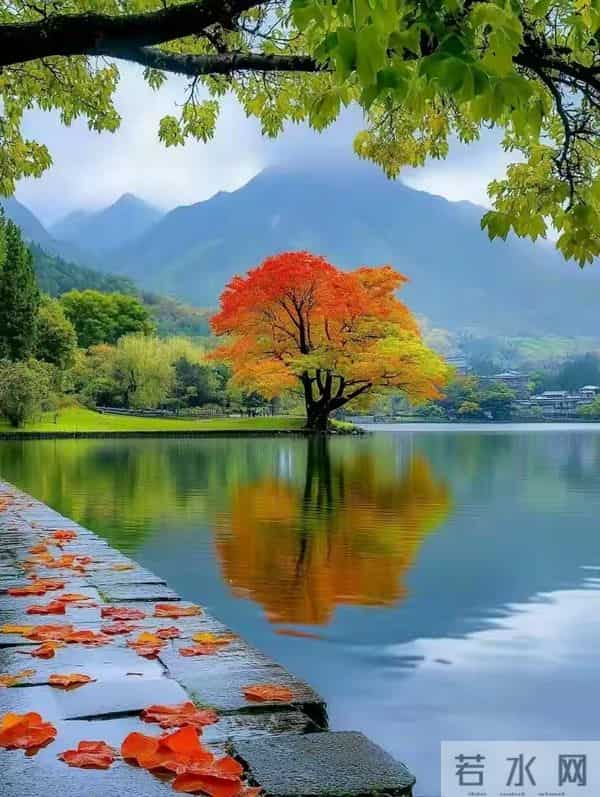 我,深爱着你,放不下你,对你的深沉想念,如写不完的诗篇