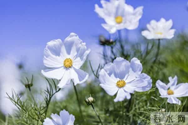 人生下半场，拼的不是财富，而是“1”和“0”