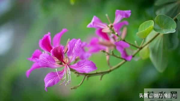 从因果定律告诉你,不要去可怜任何人,因为他们不值得