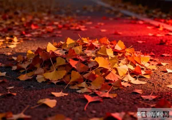 真正厉害的女人,从不问男人这几个问题,这才是真聪明