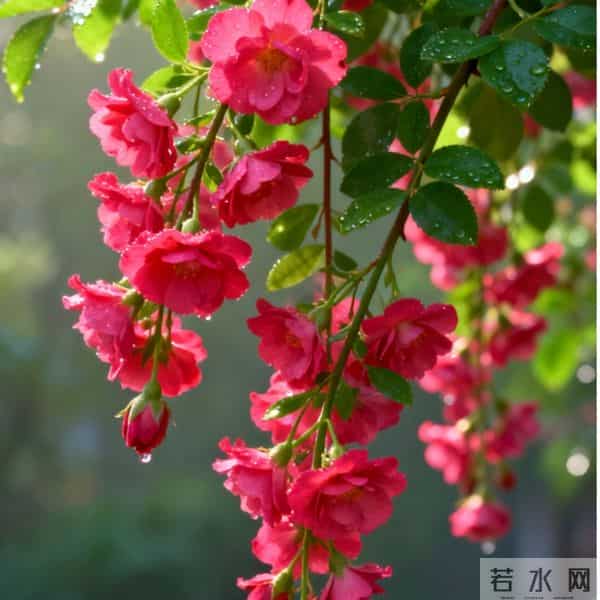 亲家初次见面，带对3样东西，体面又拉满好感（建议收藏）