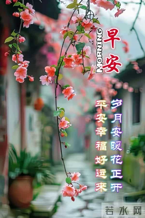 春醒草木，早安皆得圆满