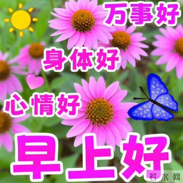 早安问候漂亮图片祝福美图