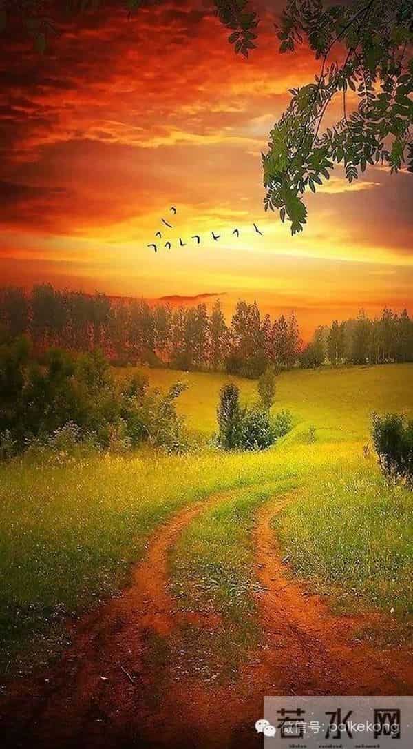 张晓磊爆款文章：《先成为自己的山，再去找心中的海》