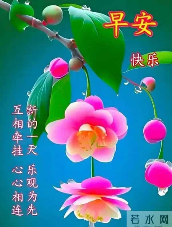 明天的光会更亮堂