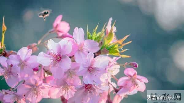 女人被你“搞定”后，藏不住的信号：不是主动，而是“不拒绝”