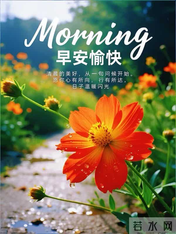 每天的开心,是健康的保证,不为往日忧,只为余生笑。早安!