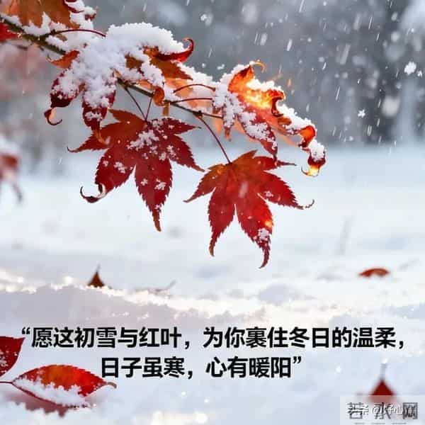 冬天可以发很久的朋友圈文案