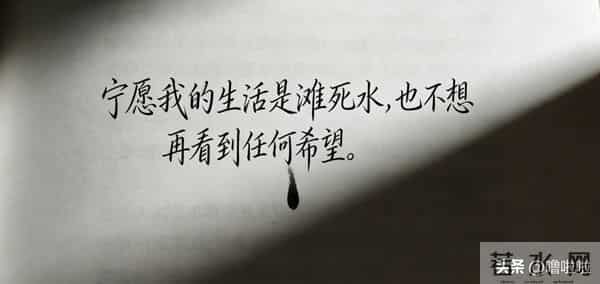 真不敢读这些虐到窒息的文案