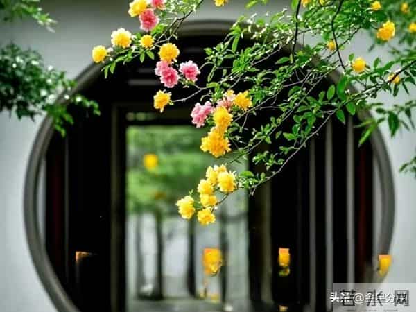 儿女找对象，千万别找这三种家庭，并不是迷信，而是大智慧