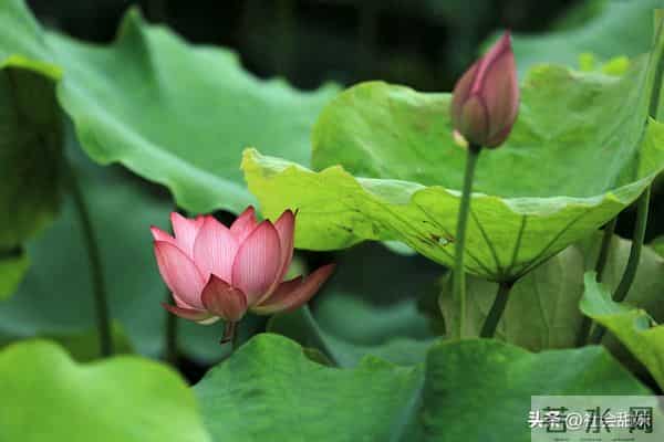 一定要记住，无论到哪里，都不要话多，也不要和任何人吐露太多