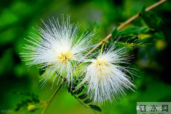 人民日报：快乐不是因为事事顺心，而是选择了看淡不顺心的事