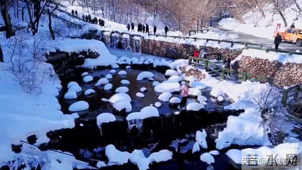 允许一切发生，你将无所畏惧，凡事发生皆有利于我