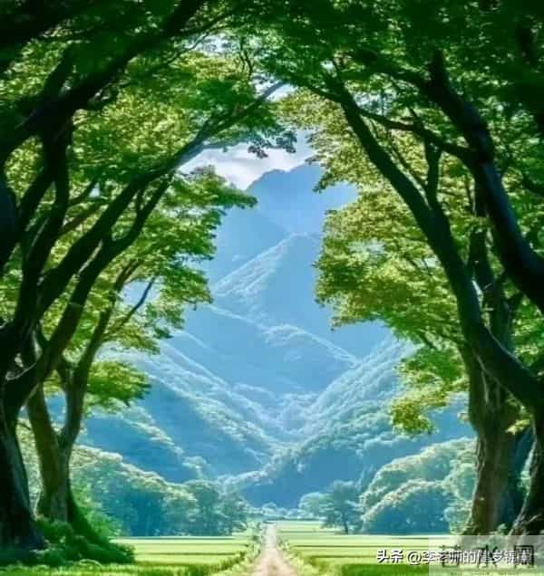 慢下来走24小时：活着不如生活，步步有欢喜