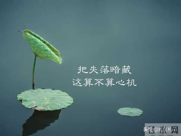 既然无缘，何须誓言。