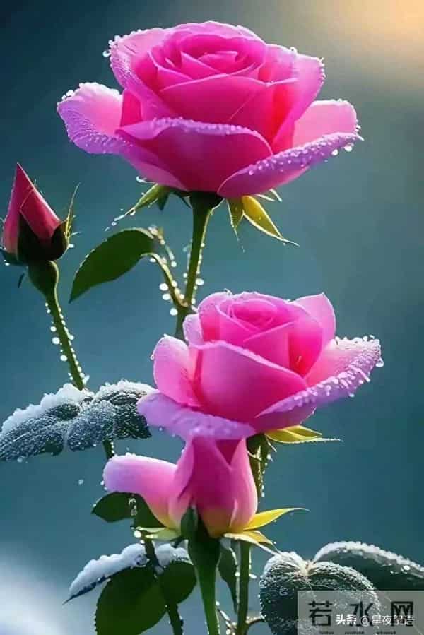 人老了，这6样，你占一样就了不起，全占简直是人生赢家