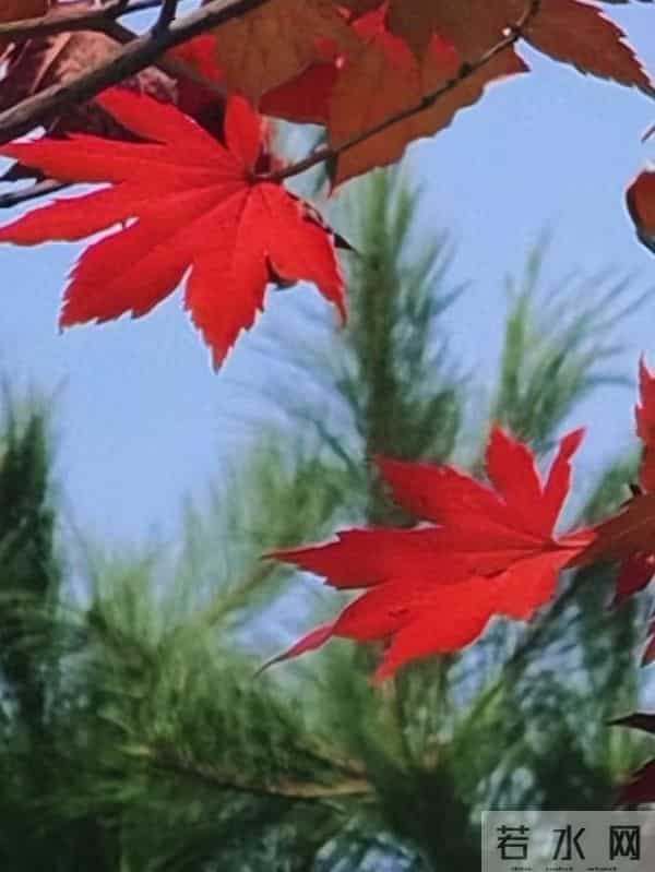 好久没有这样哭过,今夜就让我泪流成河