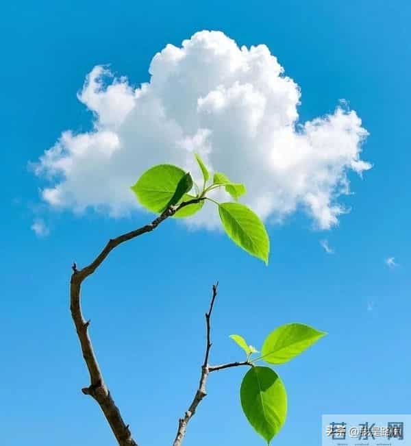 出现这些信号，说明你的苦日子到头了，老天开始给你“补糖”了