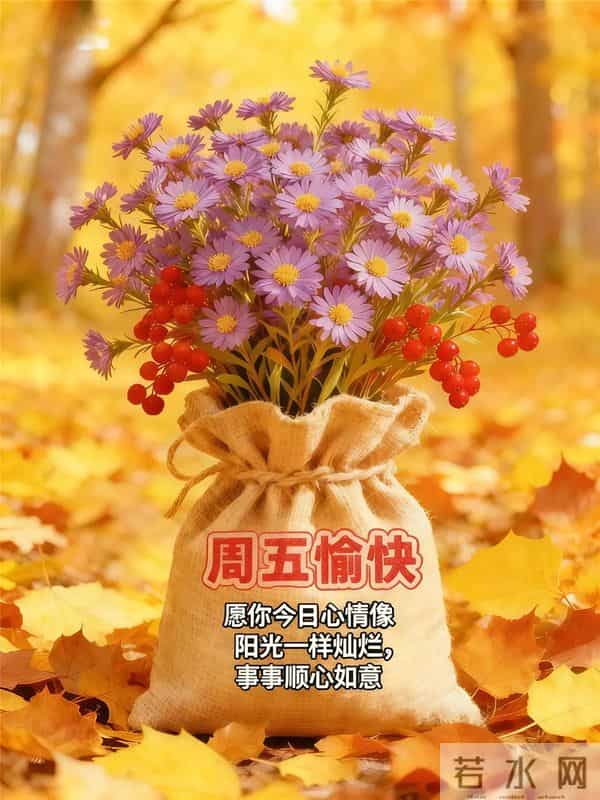 冬日晨光暖，福气踏雪来～ 事事顺意不添愁，一顺百顺福满怀，早安