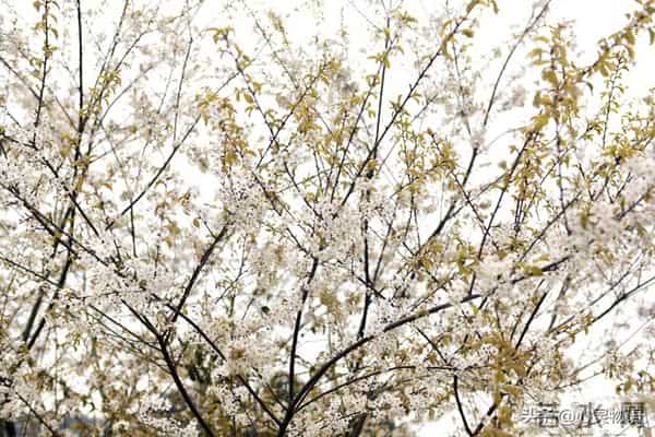 经历两次离婚,我明白了-所有夫妻关系的破裂,都始于同一个错误