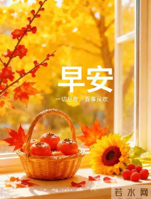 「2025.12.05」今日9张早安祝福图片问候,温馨早上好祝福语