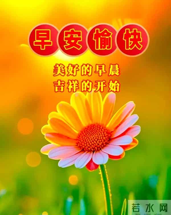 早上好问候祝福图片分享｜阳光暖暖，祝福甜甜！早安快乐！