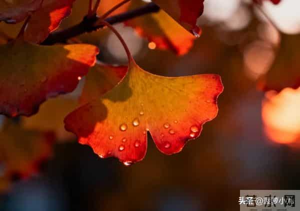 真正厉害的女人,从不问男人这几个问题,这才是真聪明