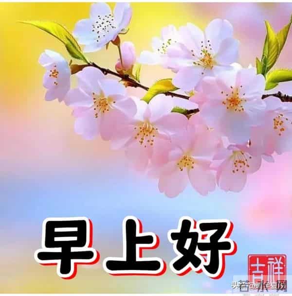 早上好