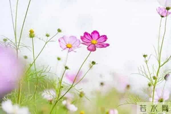 不管儿媳对你亲不亲，记住这3个理，晚年不憋屈