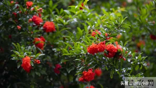 活得久的男人,没几个靠药,大多靠这三件事“想通了”