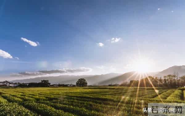 过了今晚,你的坏运气就会到此为止!明天开始,全是舒心日子!