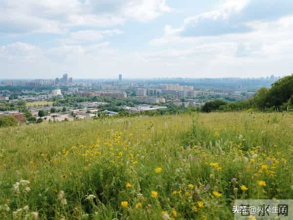 岳父80岁大寿,大舅哥订五桌宴请亲朋让我买单:家产分一半给我