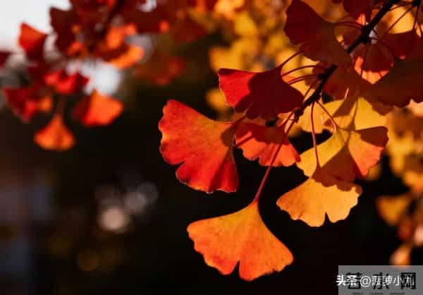 真正厉害的女人,从不问男人这几个问题,这才是真聪明