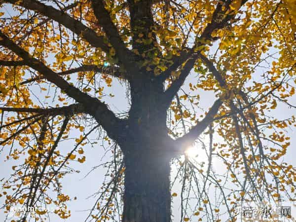 那些因至亲之人离世而产生的悲伤,难以消除但可以转化成其他能量