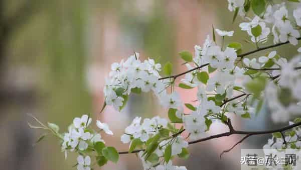 前夫退休跟我分居一年,回来跟我说:离婚吧,她已经有了我的孩子