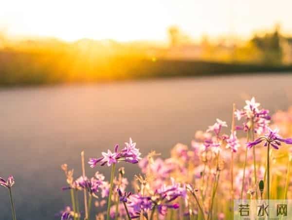 女人是否喜欢你，这三个“不拒绝”就是答案