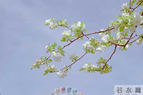 女人退休发现老伴外面有人，没哭闹背包走出，2年后老伴心梗过世